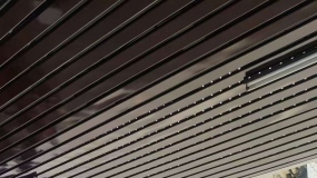 ݌׷|ӽ̑yP(gun)